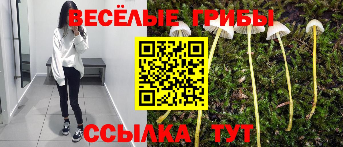 Новошахтинск  Псилоцибиновые грибы GOLDEN TEACHER  Галлюциногенные грибы мухоморы  Вход с VPN 